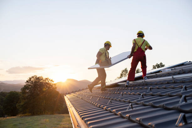 Best Roof Maintenance and Cleaning  in Hitchcock, TX